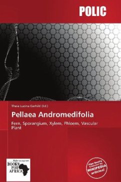 Pellaea Andromedifolia