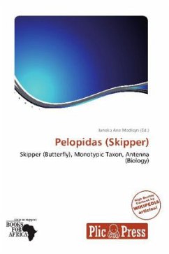 Pelopidas (Skipper)