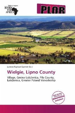 Wielgie, Lipno County