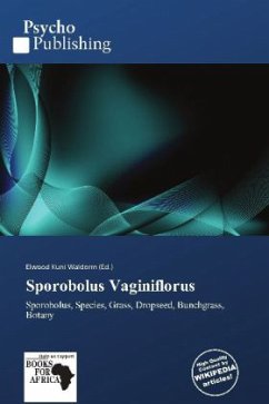 Sporobolus Vaginiflorus