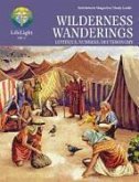 Lifelight: Wilderness Wanderings Study Guide