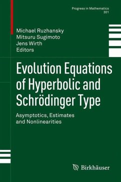 Evolution Equations of Hyperbolic and Schrödinger Type