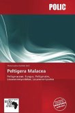Peltigera Malacea