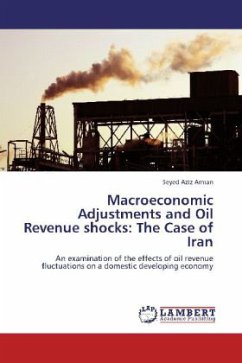 Macroeconomic Adjustments and Oil Revenue shocks: The Case of Iran