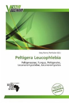 Peltigera Leucophlebia