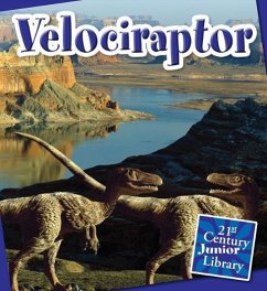 Velociraptor - Raatma, Lucia