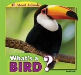 What's a Bird?