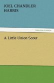 A Little Union Scout