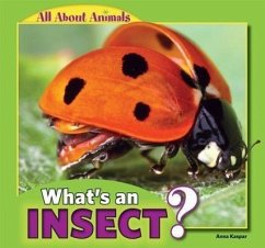 What's an Insect? - Kaspar, Anna