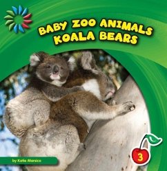 Koala Bears - Marsico, Katie