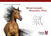 Wissen Kompakt - Akupunktur Pferd