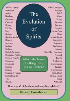 The Evolution Of Spirits
