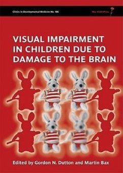 Visual Impairment in Children Due to Damage to the Brain