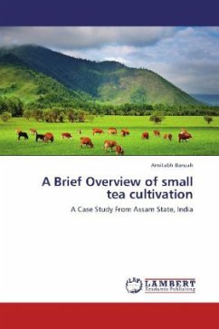 A Brief Overview of small tea cultivation