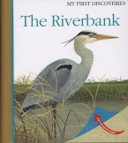 The Riverbank: Volume 12