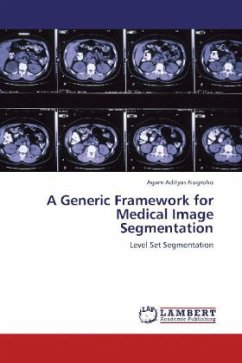 A Generic Framework for Medical Image Segmentation - Nugroho, Agam Adityas