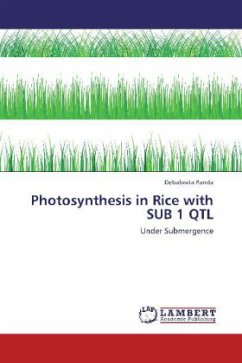 Photosynthesis in Rice with SUB 1 QTL