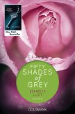 Befreite Lust / Shades of Grey Trilogie Bd.3