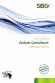 Sedum Caeruleum