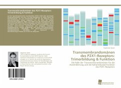 Transmembrandomänen des P2X1-Rezeptors: Trimerbildung & Funktion - Speer, Stephanie