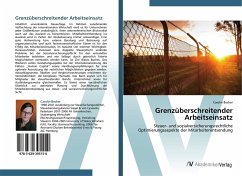 Grenzüberschreitender Arbeitseinsatz