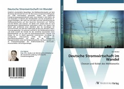 Deutsche Stromwirtschaft im Wandel - Melzer, Ute