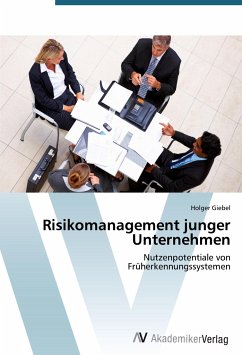 Risikomanagement junger Unternehmen - Giebel, Holger