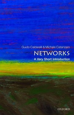 Networks - Caldarelli, Guido (Professor of Theoretical Physics in the IMT Alti ; Catanzaro, Michele (Freelance journalist)