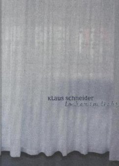 Cover Klaus Schneider: Löcher im Licht