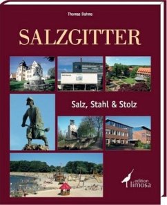 Cover Salzgitter