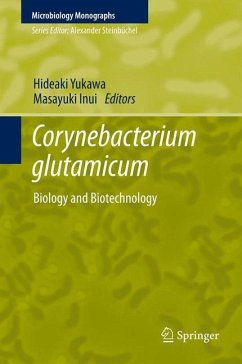 Corynebacterium glutamicum