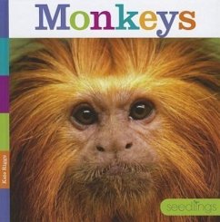 Monkeys - Riggs, Kate