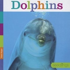 Dolphins - Riggs, Kate