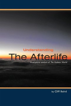 Understanding the Afterlife - Baird, Cliff