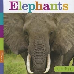 Elephants - Riggs, Kate