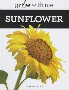 Sunflower - Riggs, Kate