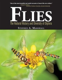 Flies - Marshall, Stephen A.