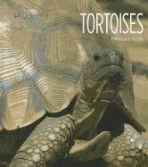 Tortoises - Gish, Melissa