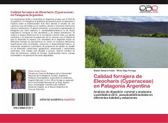 Calidad forrajera de Eleocharis (Cyperaceae) en Patagonia Argentina - Feijóo, Mabel Sandra;Arriaga, Mirta Olga