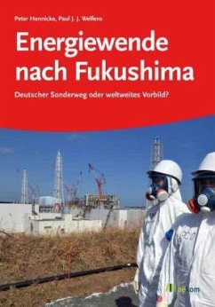 Energiewende nach Fukushima - Hennicke, Peter;Welfens, Paul J. J.