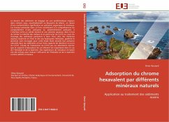 Adsorption du chrome hexavalent par différents minéraux naturels - Ajouyed, Omar