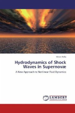 Hydrodynamics of Shock Waves in Supernovæ - Avila, Victor