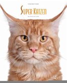 Super Katzen Super Katzen