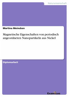 Magnetische Eigenschaften von periodisch angeordneten Nanopartikeln aus Nickel - Meincken, Martina