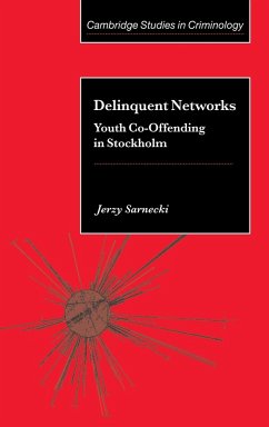Delinquent Networks - Sarnecki, Jerzy