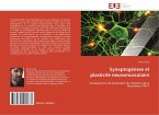 Synaptogénèse et plasticité neuromusculaire