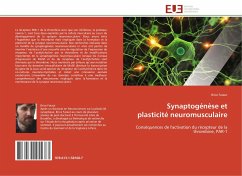 Synaptogénèse et plasticité neuromusculaire - Faraut, Brice