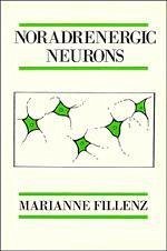 Noradrenergic Neurons - Fillenz, Marianne