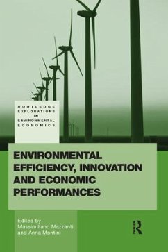 Environmental Efficiency, Innovation and Economic Performances