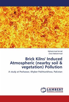 Brick Kilns' Induced Atmospheric (nearby soil & vegetation) Pollution